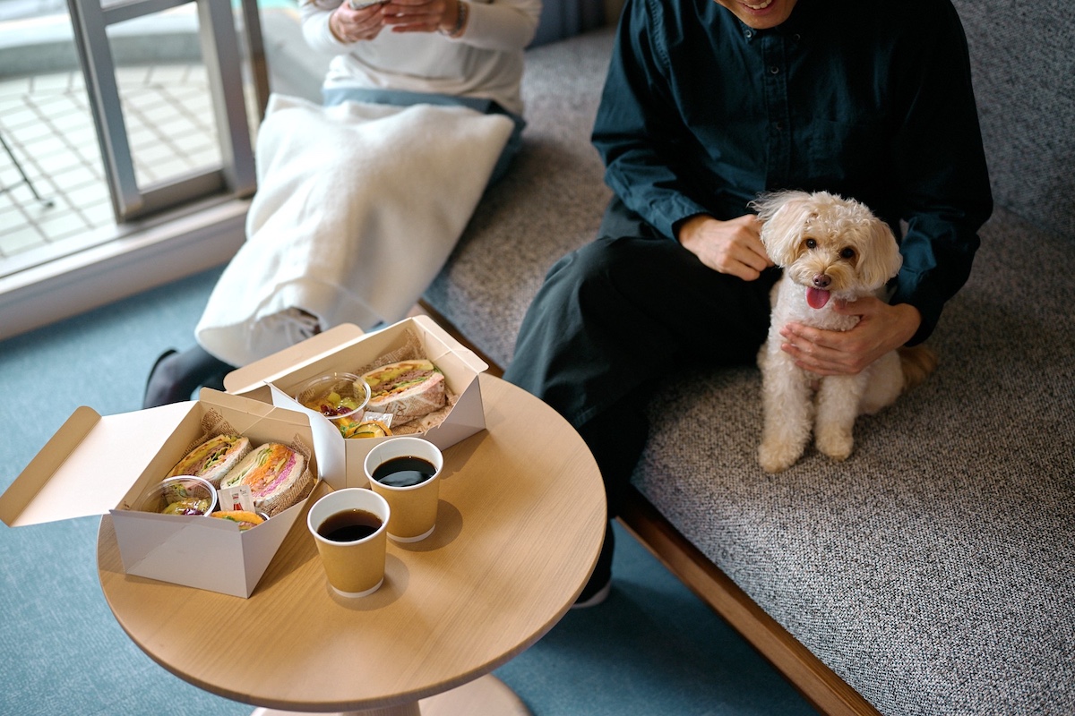 Dog Friendly Room Dining03